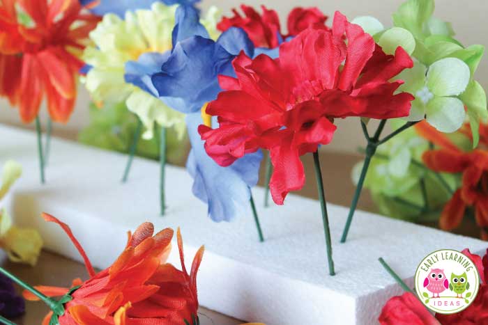 Silk flowers from the Dollar Store as part of your fine motor activities. 