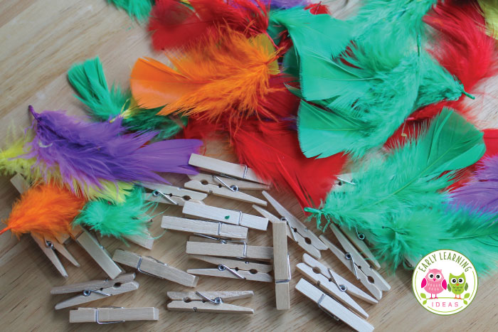 It's time to get out your bag of colorful feather for your bird themed activity.