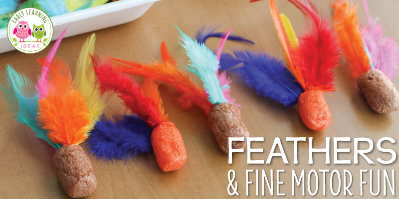 Feathers and fine motor fun.