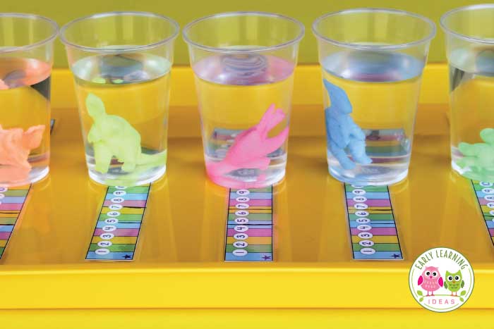 Check out these fun measurement activities for preschoolers...plus there are free printables.  Kids will enjoy using the free printable measuring strip to record the growth of little growing dinosaurs. This is a great STEM activity for preschool and pre-k. Perfect for your dinosaur unit and or lesson plans. Use growing animals or sea animals for your animal unit or ocean unit and lesson plans. Add this to your math center for an exciting learning experience for kids. #preschool #preschoolmath