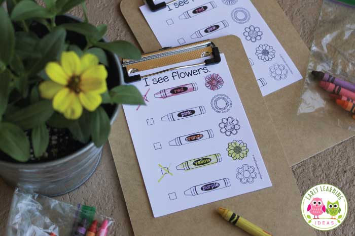 Use the review as a guide for a flower scavenger hunt around your neighborhood.  