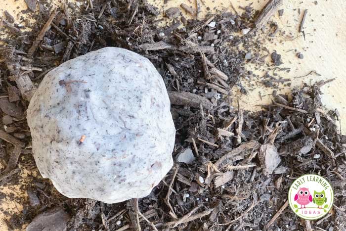 Add organic soil to your playdough for the best construction playdough.