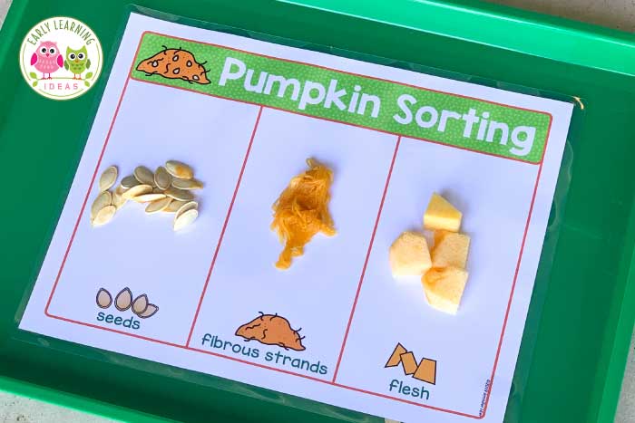 Fine Motor Activities for Fall