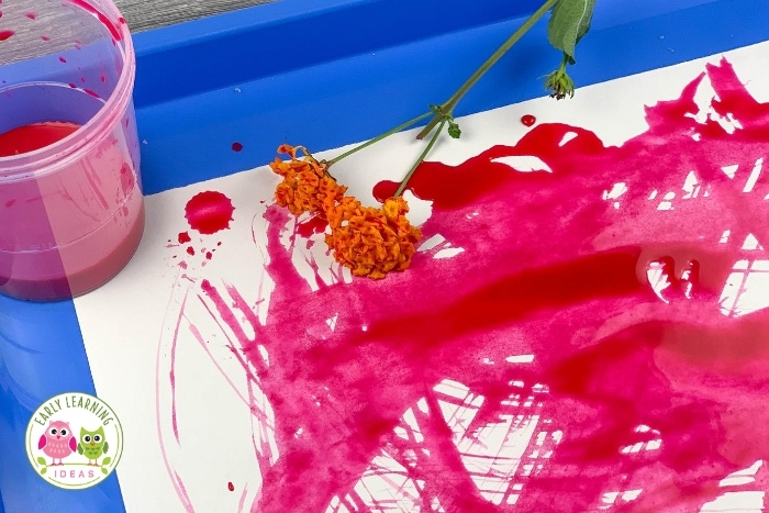 How to make your own paintbrushes:  Flowers.
