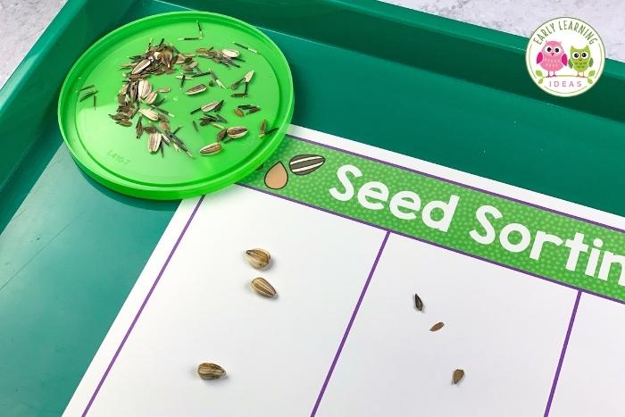 Flower seed identification and sorting activity