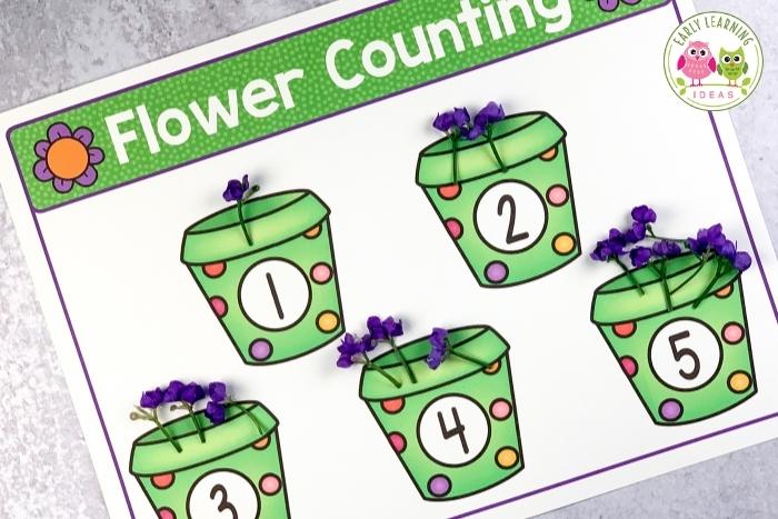 flower counting activity

