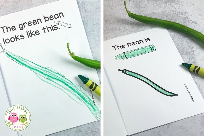 record the appearance of a green bean