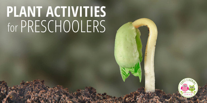 plant activities for preschoolers