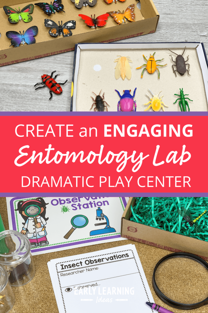 create an entomology lab dramatic play center
