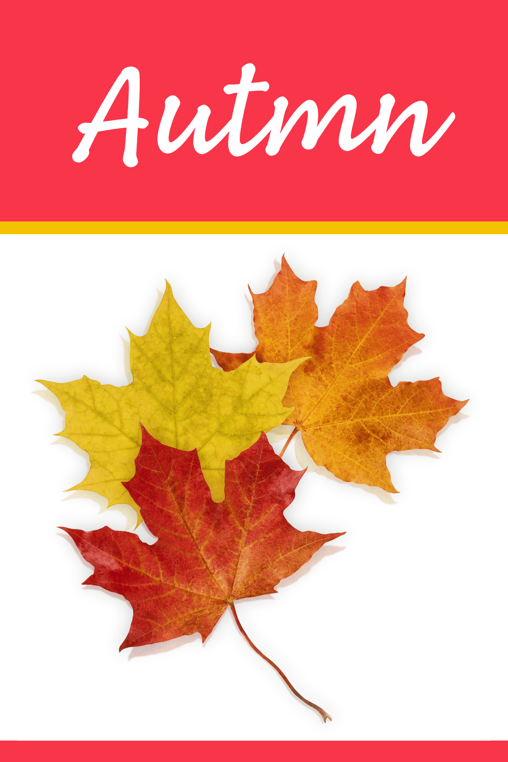 Preschool Themes - Early Learning Ideas