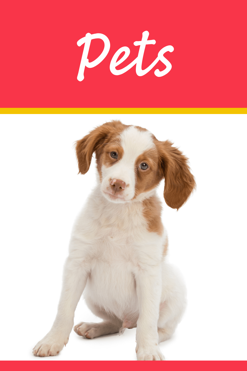 Preschool Themes | Early Learning Ideas