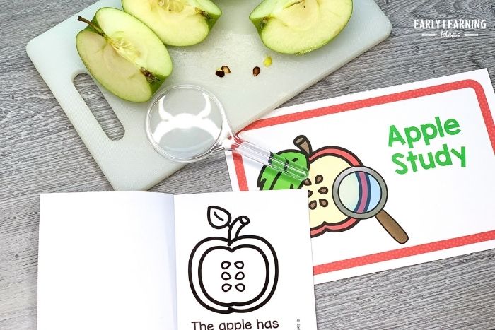 apple science activities to use in your preschool science center