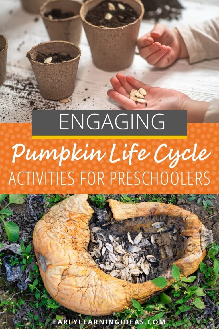 Pumpkin Life Cycle Activities for young kids