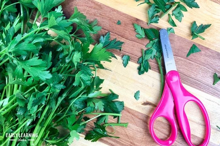 Kids can get cutting practice by cutting herbs, plants, and flowers - ideas for cutting practice for preschoolers
