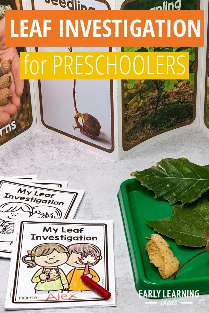 leaf investigation books for your preschool science center