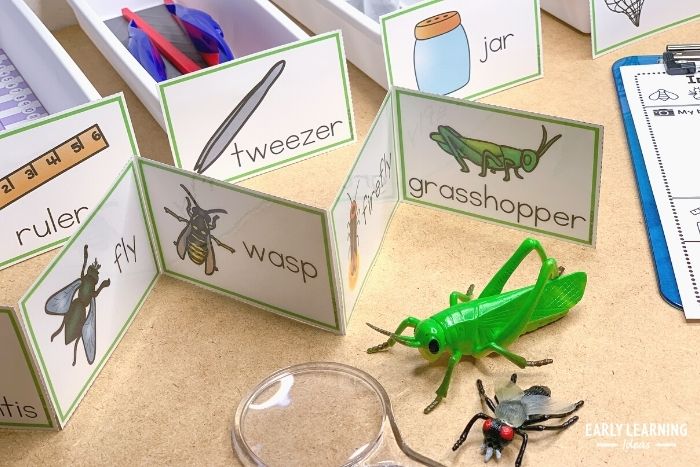 Ideas for setting up insects and bugs dramatic play activities for preschoolers.    The photo includes a plastic grasshopper, a fly, a magnifying glass, and printable images of various insects that can be included in the insect pretend play setup.
