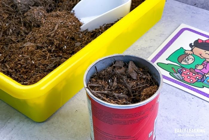 planting flower seeds in soil during a preschool flower science lesson