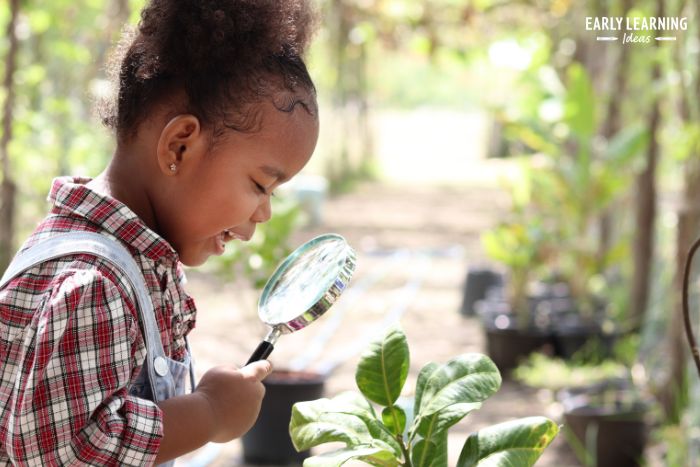 A preschool girl looking through a magnifying glass at a plant