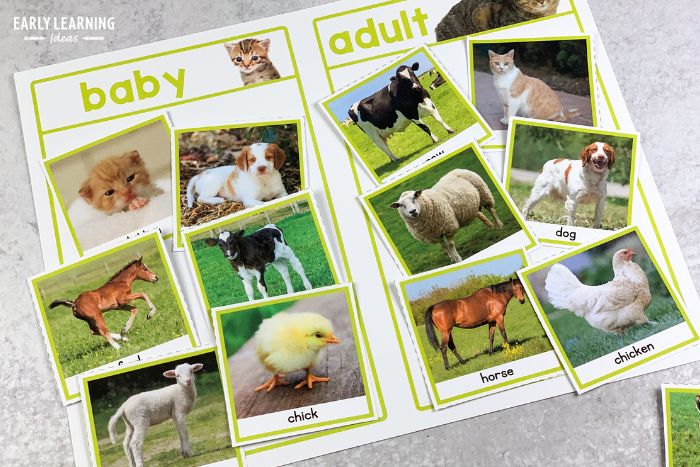 a preschool life science activity printable about animals and their babies