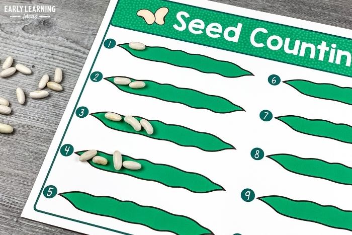 seed counting activity for your plant unit