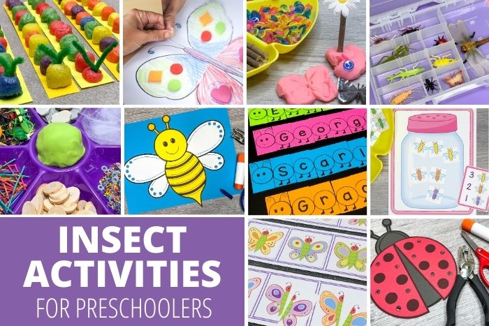 insect activities for preschoolers
