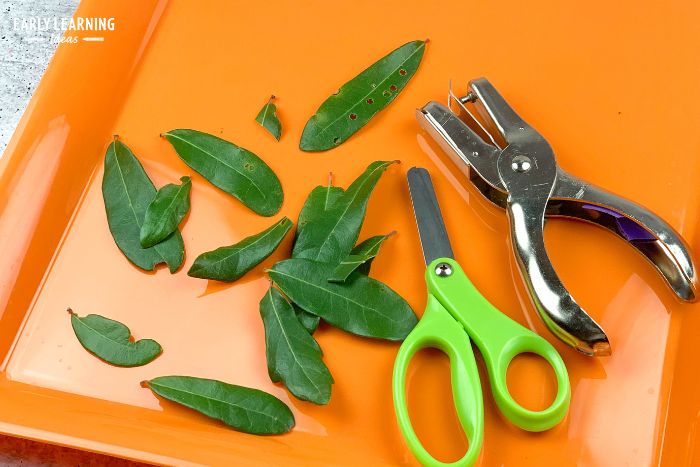 green leaves, scissors, and a hole punch on an orange tray is an example of fine motor activities for fall.
