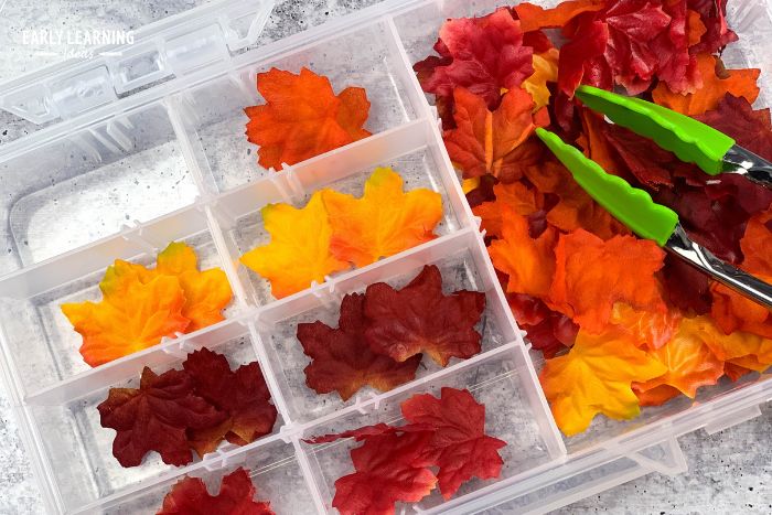 fall fine motor activities - orange and yellow silk leaves, tongs, and a divided plastic container.
