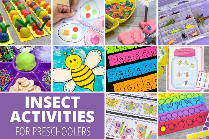 A collage of bug and insect theme activities for preschoolers