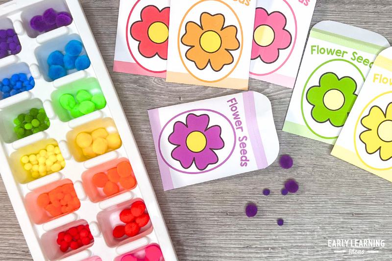 color sorting seed packets and pom poms for a flower shop dramatic play area.