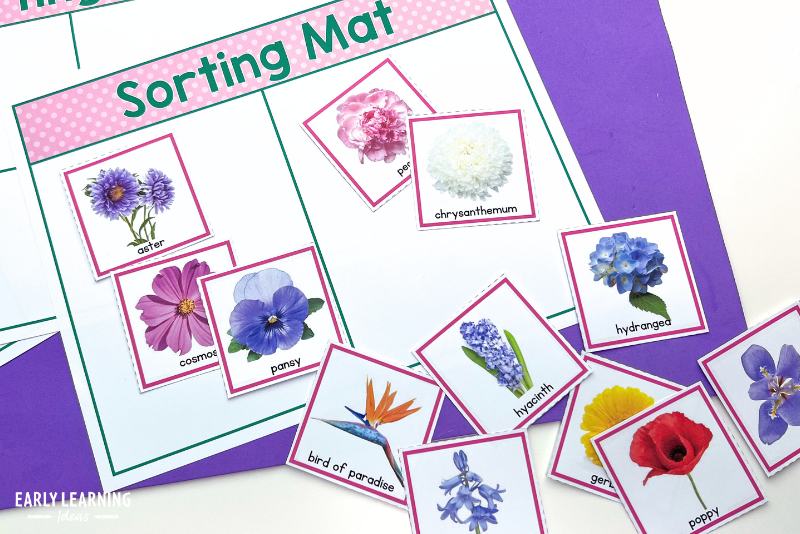 Flower picture cards for sorting