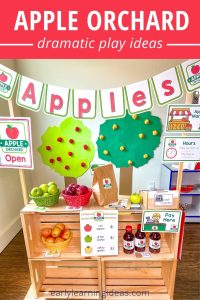apple orchard dramatic play area