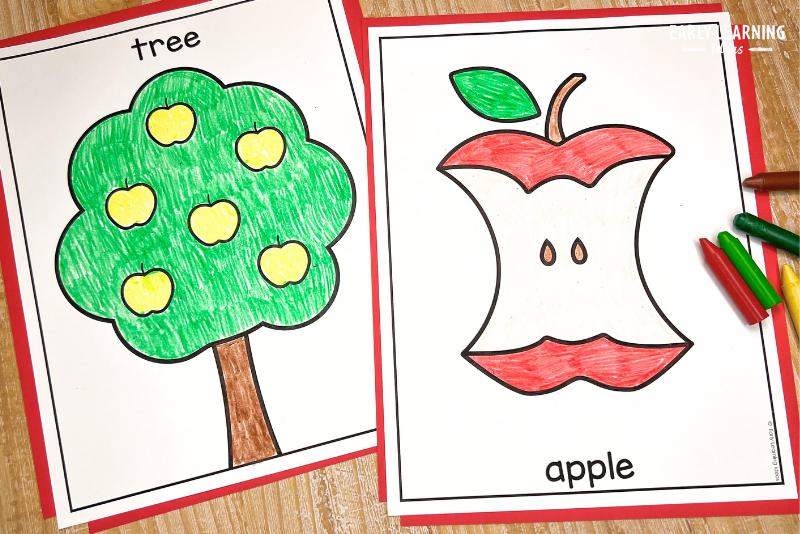 Simple apple tree and apple core coloring pages or sheets