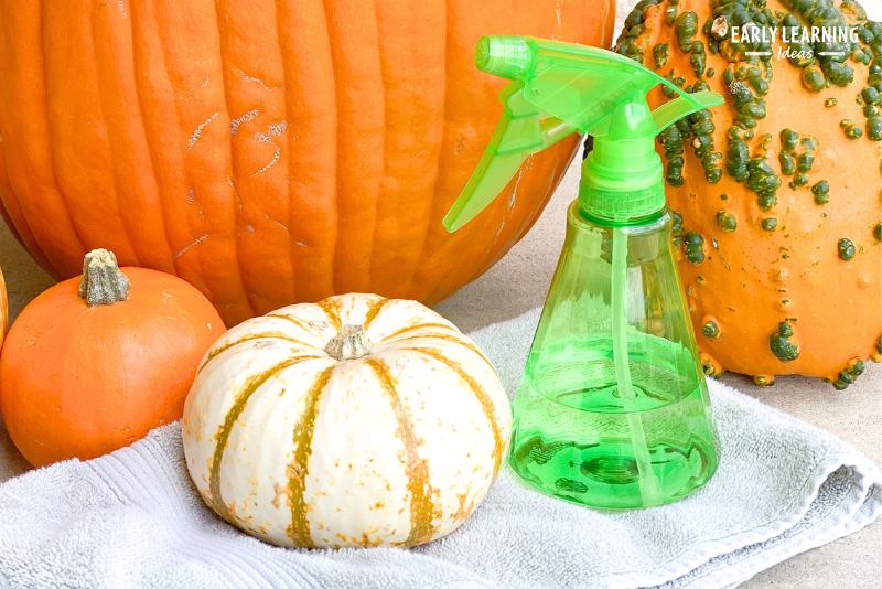 pumpkins shown with a towel and a spray bottle