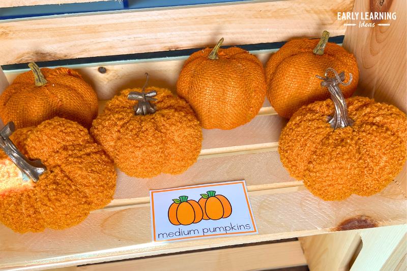 decorative pumpkins in a crate used in a preschool pumpkin patch dramatic play center