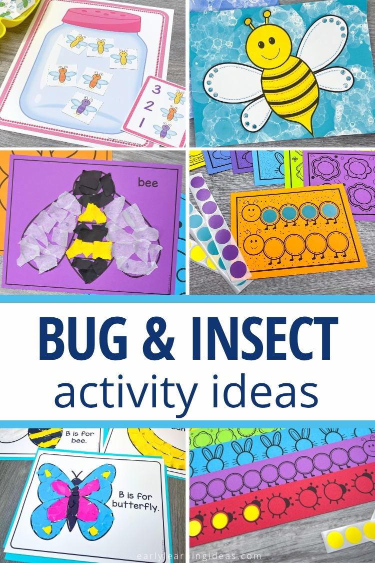 Bug and Insect Theme